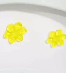 여름이여서 더 자주했던 변기관리를
