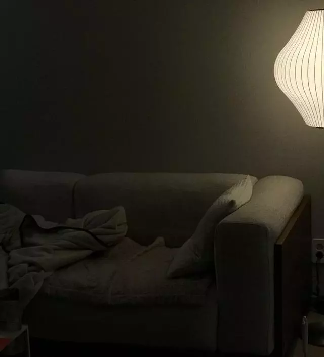 루밍 Nelson Pear Lotus Floor Lamp